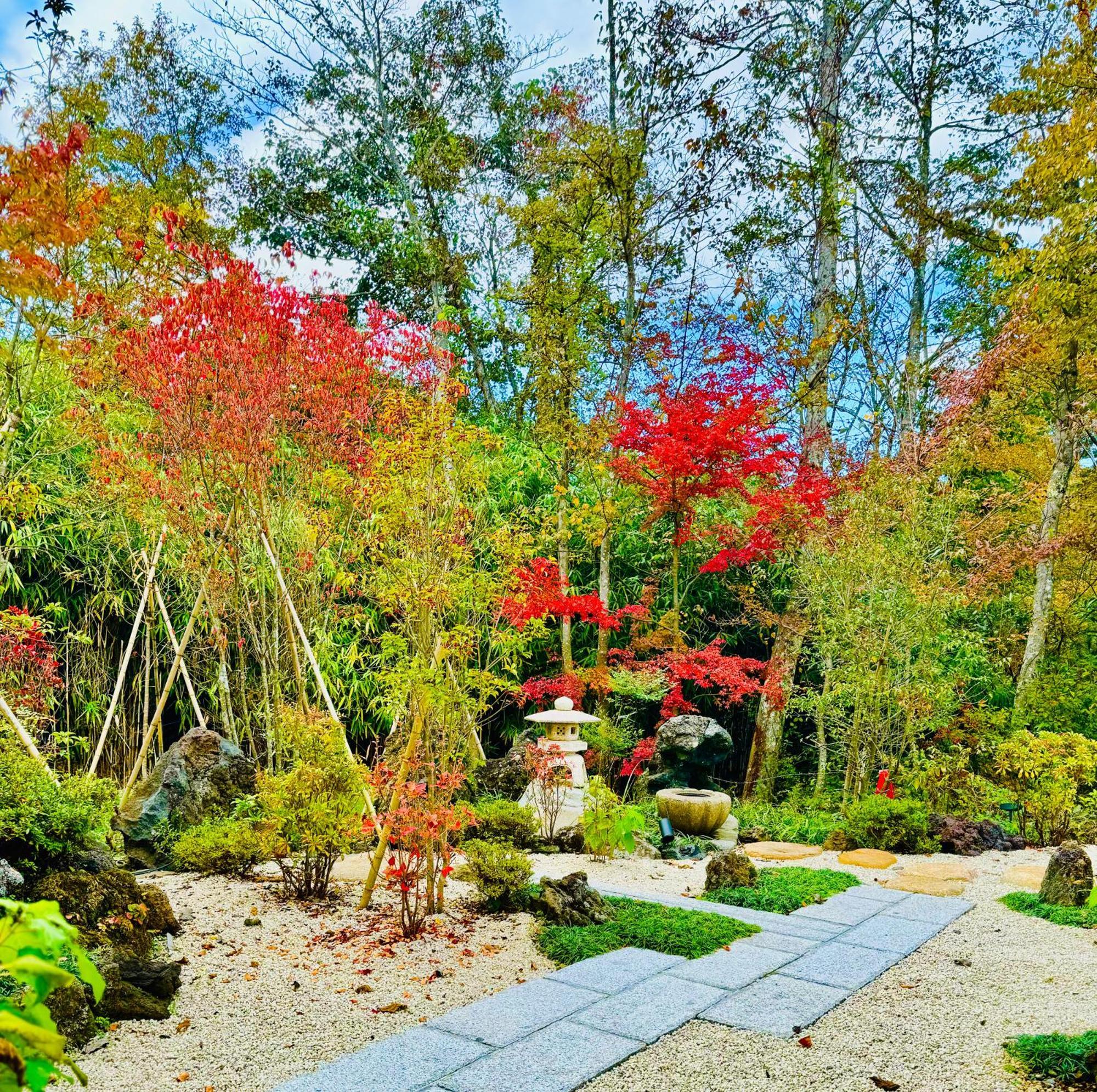 Private Villa Ietona Fujikawaguchiko Exterior foto
